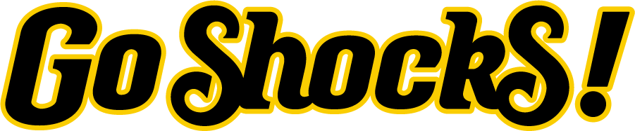 Wichita State Shockers 2011-2019 Wordmark Logo DIY iron on transfer (heat transfer)